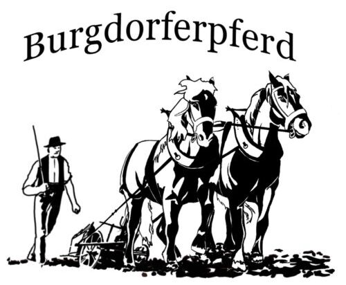 EC23_Logo_Burgdorfer