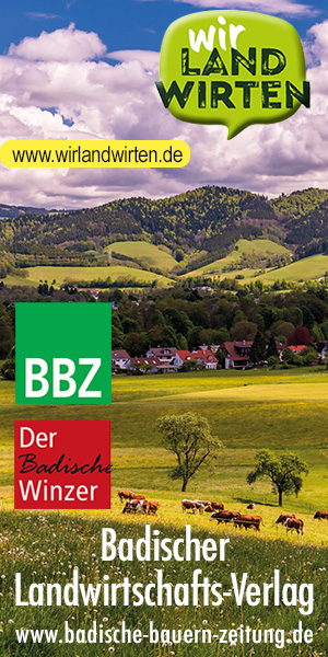 BBZ Banner