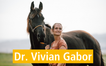 Dr. Vivian Gabor